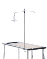 IGT Double Lantern Pole